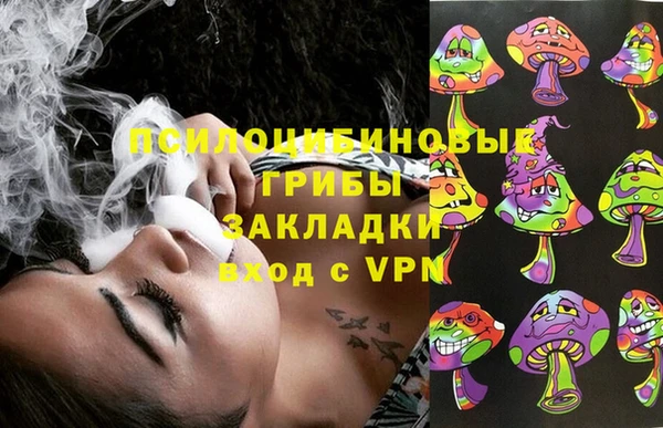 PSILOCYBIN Богородск