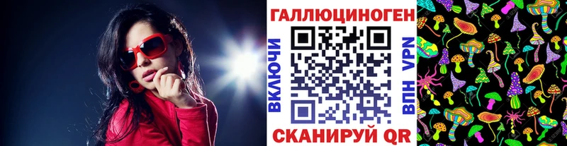 Купить где  Сурск  Псилоцибиновые грибы Psilocybine cubensis 